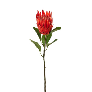 Цветок декоративный "Протея". Арт 211790-300