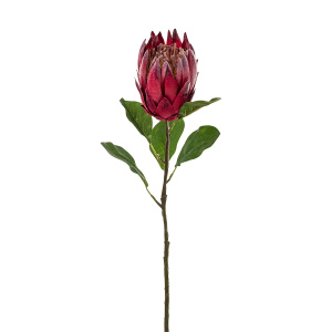 Цветок декоративный "Протея". Арт 211790-560