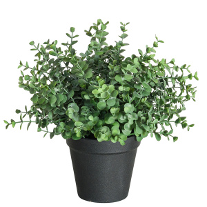 Цветок декоративный в кашпо "Эвкалипт". Арт 108431-800