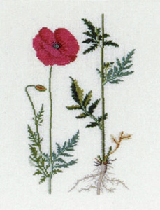 Набор для вышивания: "Мак". Арт 30-6036