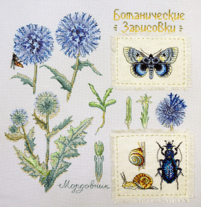 Набор для вышивания "Ботаника: Мордовник". Арт 03.015.14