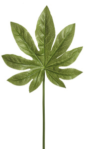 Лист декоративный "Аралия". Арт 106189-800