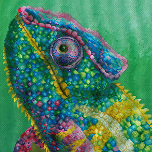 Набор для вышивания "Illusion". Арт XRF2