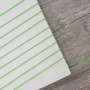 Шнур PEGA полиэстровый неоновый, цвет салатовый, 1,1 мм. Арт 842950000L1805