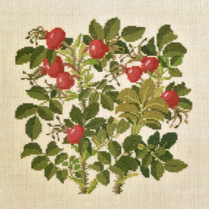 Набор для вышивания: "Шиповник". Арт 30-6142