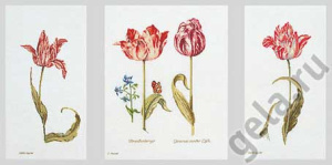 Набор для вышивания "Тюльпаны", канва лён 36 ct. Арт 2039                    