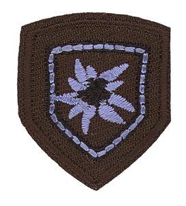 Термоаппликация "Эдельвейс". Арт 36078/1SB