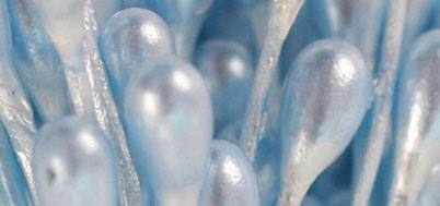 Набор декоративных элементов "Тычинки двусторонние". Арт 5120008