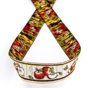 Лента жаккард SAFISA, 25 мм, 15 м, цвет 02. Арт 9217-25мм-02