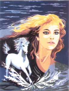 Канва жесткая с рисунком "Быстрее ветра". Арт C.949                   