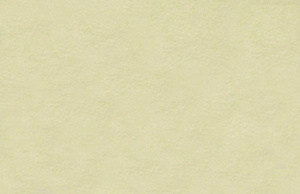 Трикотаж Флис 180 . Арт 29534