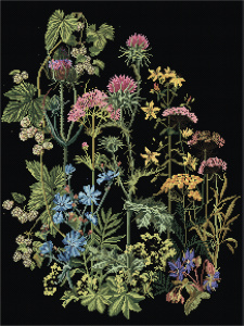 Набор для вышивания "Травы", канва аида (черная) 18 ct. Арт 424.05                  