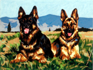 Канва жесткая с рисунком "Овчарки". Арт 40.114                  