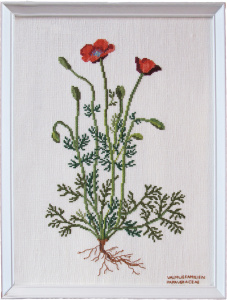 Набор для вышивания: "Мак". Арт 30-6987