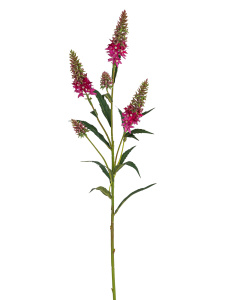 Ветка декоративная "Астильба". Арт 204579-700