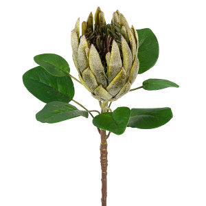 Цветок декоративный "Протея". Арт 217906-800