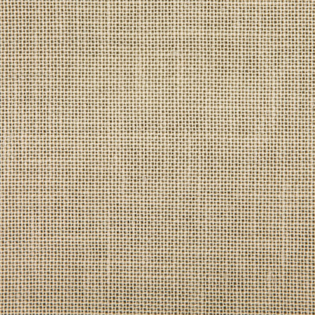 Канва в упаковке Сashel 28 ct, 48 х 68 см, цвет №323. Арт н3281/323                