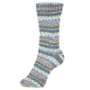 Пряжа Fortissima Socka 4-fach color, 75% шерсть, 25% полиамид, 420 м, 100 г. Арт 90028-2490