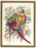 Набор для вышивания "Попугаи". Арт 72-292