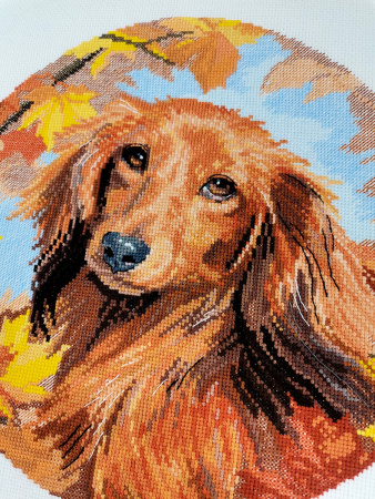 Набор для вышивания "Такса". Арт 03.014.32