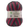 Пряжа Step, 75% шерсть, 25% полиамид, 420 м, 100 г. Арт 97689-0018