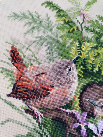 Набор для вышивания  "Крапивники". Арт 03.010.30