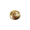 Пуговица DISBOTON, размер 40 цвет C/GOLD SIN ACABADO 079. Арт 3329240GOLD80