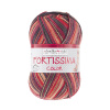 Пряжа Fortissima Socka 4-fach color, 75% шерсть, 25% полиамид, 420 м, 100 г. Арт 90028-2486