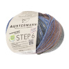 Пряжа Step 6 Irish Rainbow Colours, 75% шерсть, 25% полиамид, 410 м, 150 г. Арт 97826-0733