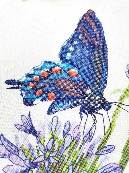 Набор для вышивания  "Синий махаон". Арт 03.015.19