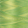 Нить для машинного квилтинга SILK-FINISH MULTI COTTON 50, 1372 м. Арт 9090-9830