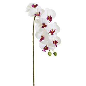 Цветок декоративный "Орхидея"