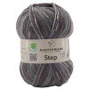 Пряжа Step, 75% шерсть, 25% полиамид, 420 м, 100 г. Арт 97689-0087
