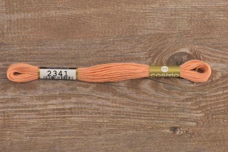 Мулине COSMO однотонный цвет  2341      . Арт 25-6/2341      