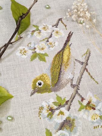 Набор для вышивания  "Белоглазка". Арт 03.011.15