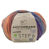 Пряжа Step 6 Irish Rainbow Colours, 75% шерсть, 25% полиамид, 410 м, 150 г. Арт 97826-0627