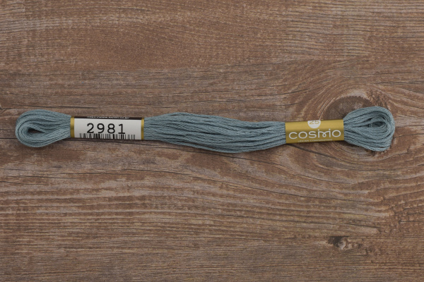 Мулине COSMO однотонный цвет  2981      . Арт 25-6/2981      