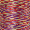 Нить вышивальная мультиколор POLY SHEEN MULTI, 200 м. Арт 4820-9983               
