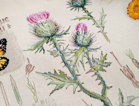 Набор для вышивания "Ботаника. Расторопша". Арт 03.015.20