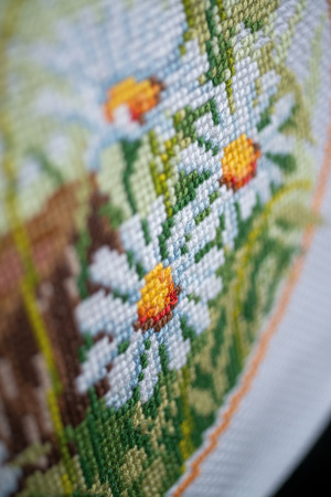 Набор для вышивания дорожки "Малиновка и маргаритки". Арт PN-0021791