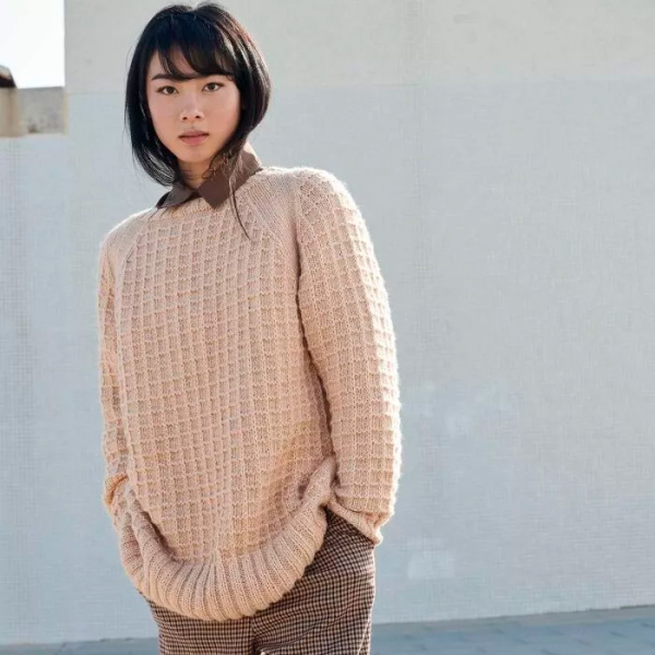 Пряжа Cotton-Merino, 70% хлопок, 30% мериносовая шерсть, 50 г, 105 м. Арт 929.141