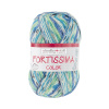 Пряжа Fortissima Socka 4-fach color, 75% шерсть, 25% полиамид, 420 м, 100 г. Арт 90028-2489
