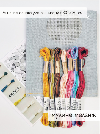 Мулине микс меланж Cosmo  " Цветные переливы". Арт 10.000.41