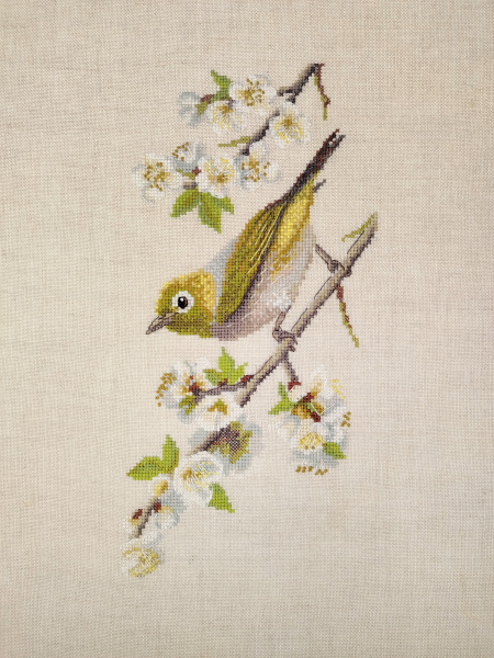 Набор для вышивания  "Белоглазка". Арт 03.011.15