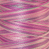 Нить вышивальная мультиколор POLY SHEEN MULTI, 200 м. Арт 4820-9912               