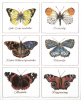 Набор для вышивания "Бабочки", канва лён 32 ct. Арт 2037                    