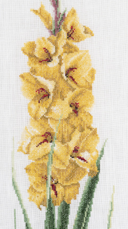 Набор для вышивания "Жёлтый гладиолус", канва лён 36 ct. Арт 3072                    