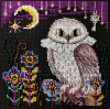 Набор для вышивания  "Ночная птица". Арт 13.003.48