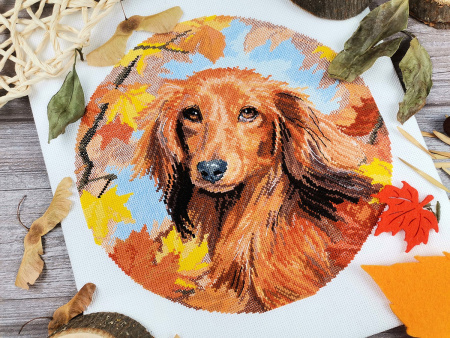 Набор для вышивания "Такса". Арт 03.014.32