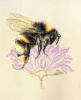 Набор для вышивания "Шмель" . Арт 03.015.10